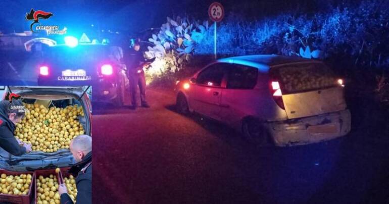 Fermati su un’auto con oltre 650 kg di limoni: denunciati. I limoni donati in beneficienza