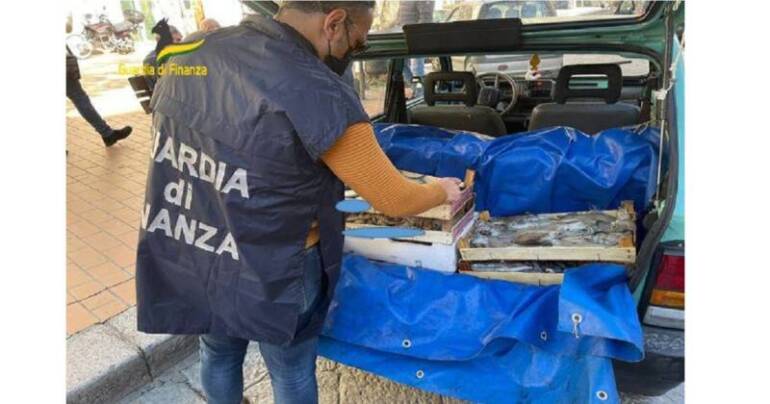 Sequestrati 23 kg di prodotto ittico: sanzioni