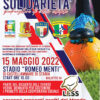 Castellammare Quadrangolare di Calcio Legalità e Solidarietà Locandina