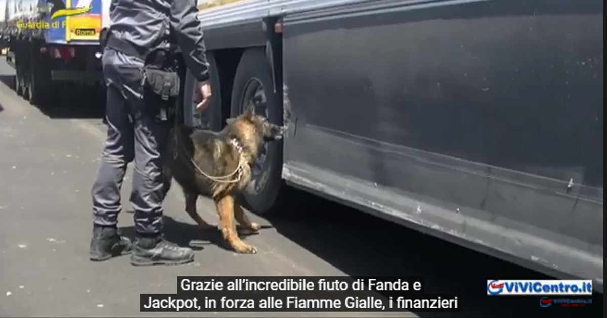 L’incredibile fiuto delle Fiamme Gialle… Fanda e Jackpot