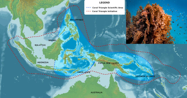 Giornata Mondiale Per Il Triangolo dei Coralli (Coral Triangle Day)