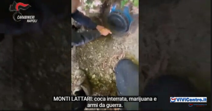 Castellammare di Stabia, Operazione dei arrestato Nicola Gentile Carabinieri “GREEN LIFE” arrestato Nicola Gentile