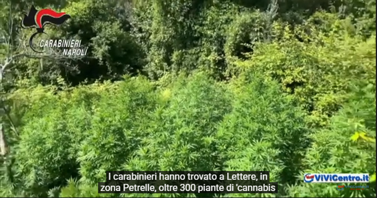 Castellammare di Stabia, ancora un duro colpo ai narcos dei Monti Lattari