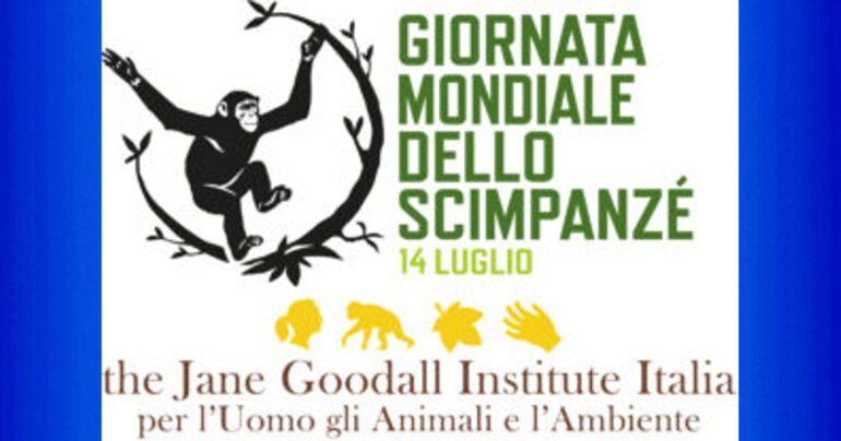 Giornata Mondiale degli Scimpanzé: 14 luglio