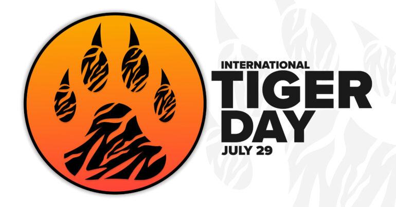 Il 29 luglio è la Giornata Mondiale della Tigre