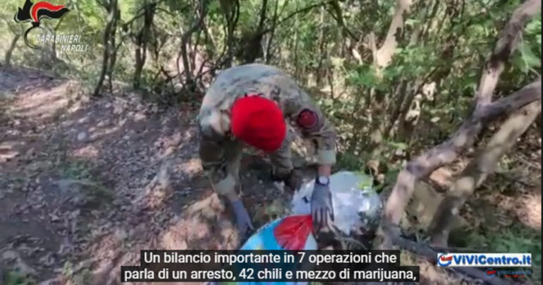 Operazione Green Life nella Giamaica dei Monti Lattari – VIDEO