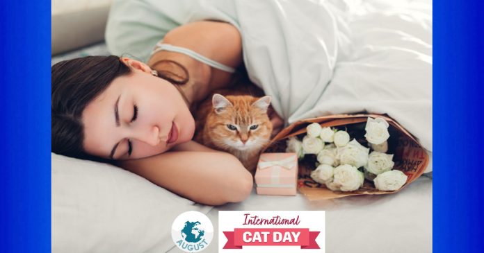 International Cat Day, Giornata internazionale del gatto Depositphotos_247825186_L