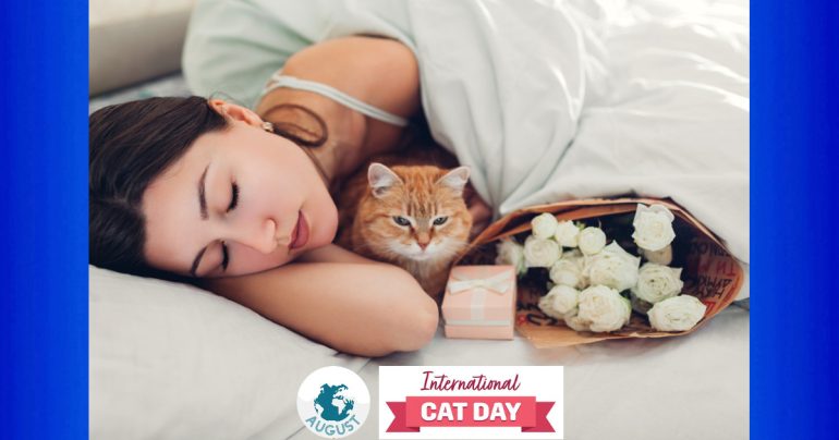 International Cat Day: 8 agosto. Perché?  E perché in Agosto?