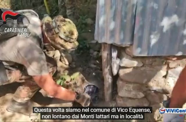 VICO EQUENSE, Monte Faito: Continua l’Operazione Green Life. VIDEO