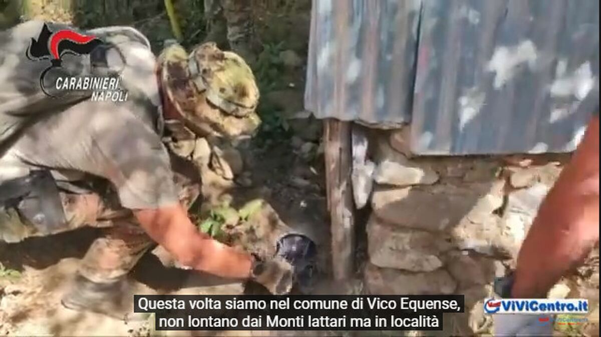 VICO EQUENSE, Monte Faito: Continua l’Operazione Green Life. VIDEO