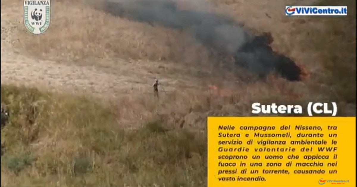 Guardie WWF scoprono e filmano un incendiario a Sutera CL