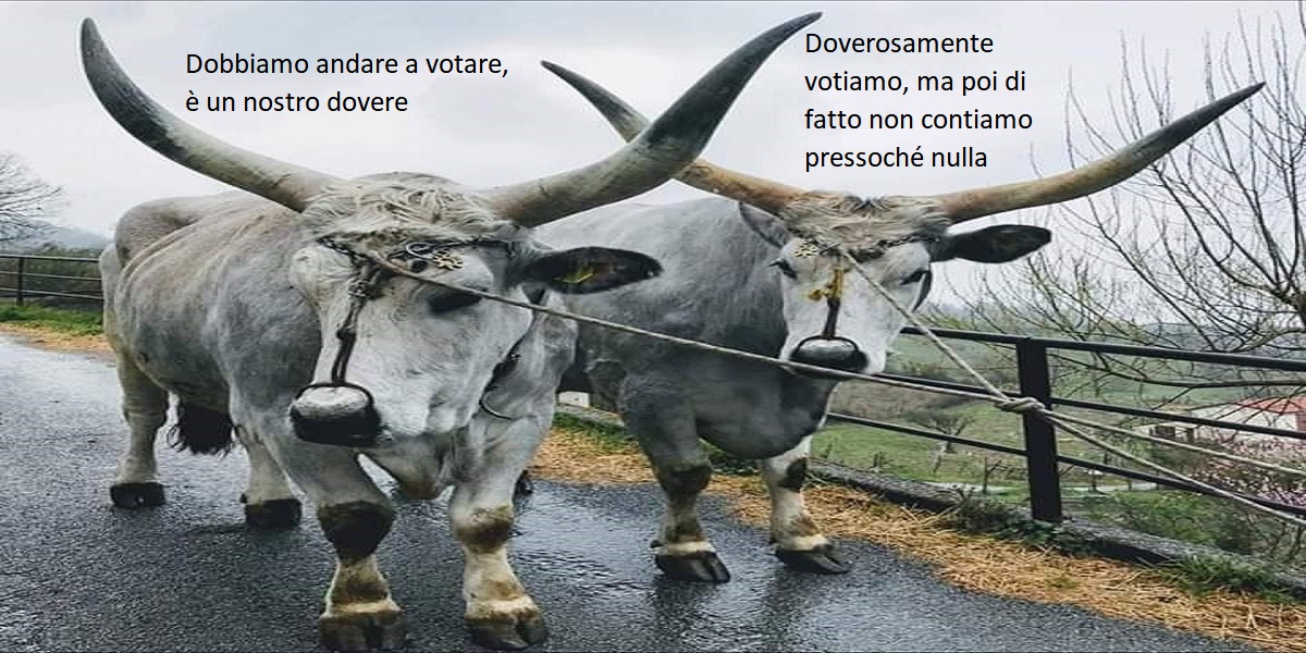 La “costituzione più bella del mondo” ma poi di fatto il cittadino non ha alcun strumentoper partecipare efficacemente alla gestione delle Cosa pubblica