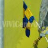 Juve Stabia Pescara Serie C 2022-2023 (15)