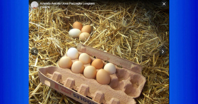 Ministero della Salute: Uova ritirate dal mercato per presenza salmonella