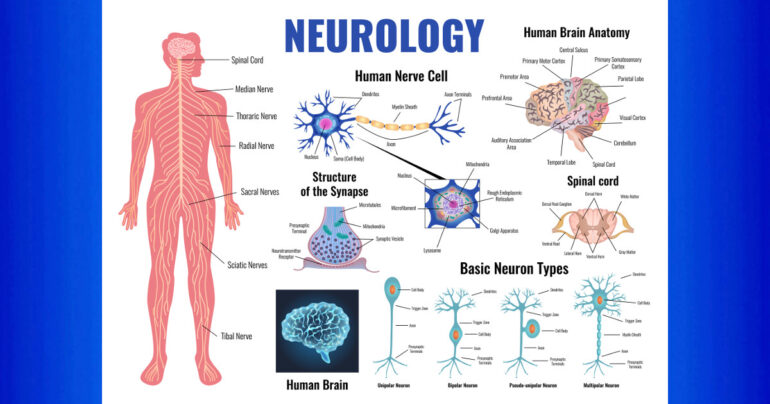 L’archivio della paura nel corpo umano