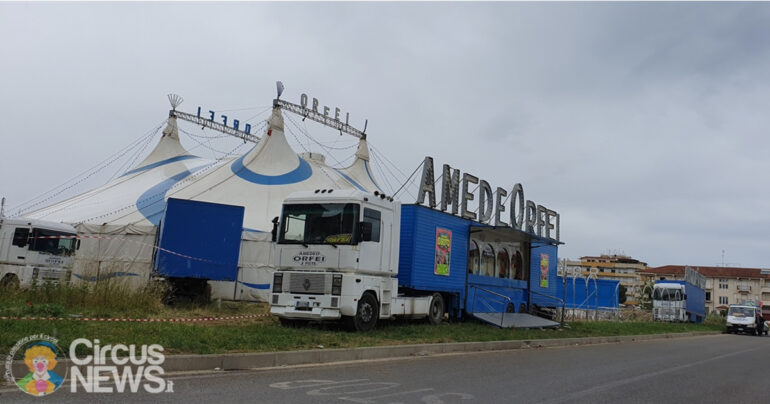 Circo Amedeo Orfei: Ivan Orfei aggredito da una tigre durante spettacolo VIDEO