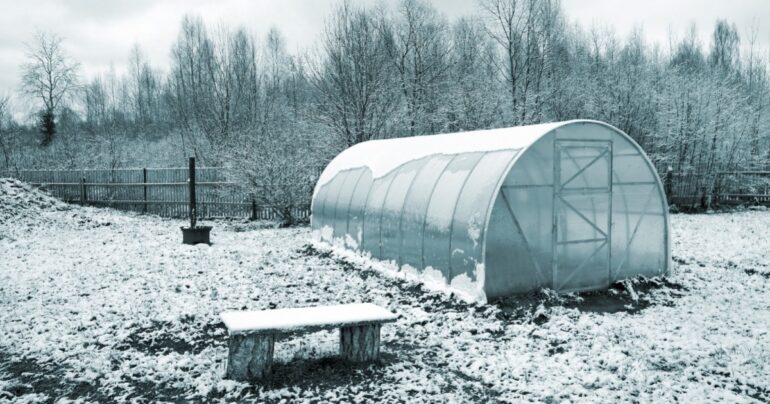 Orto in inverno: i consigli per mantenerlo sano