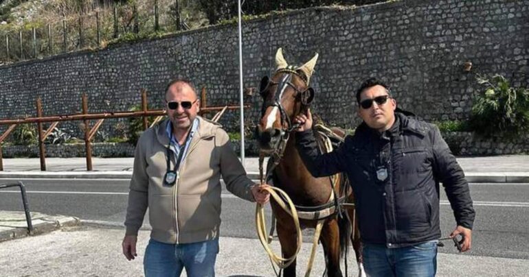 Cavallo impaurito causa caduta del driver del calesse a Pozzano