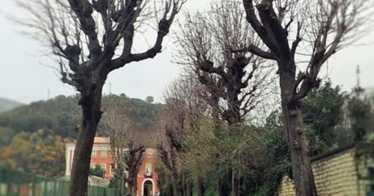 Dubbi su progetto riqualificazione Viale degli Ippocastani a Stabia