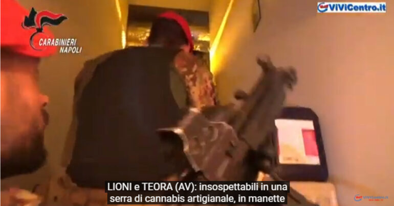 LIONI e TEORA (AV), Sequestrati oltre 2500 piante di cannabis in serra artigianale
