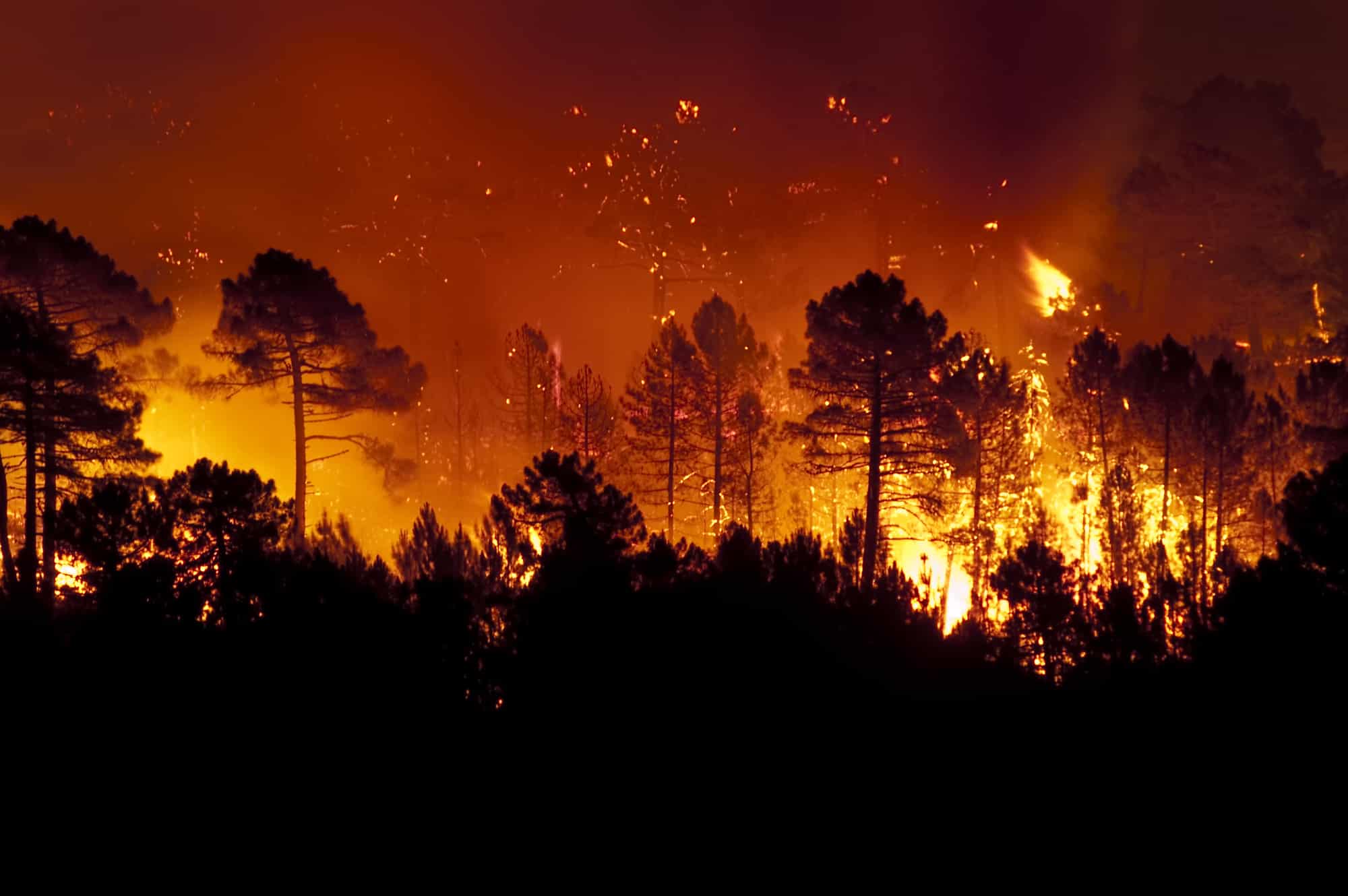 Incendi boschivi a Rodi