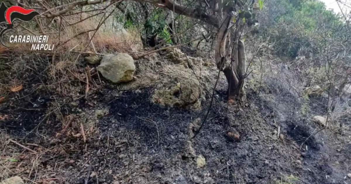 Nudista Piromane Arrestato a Sorrento