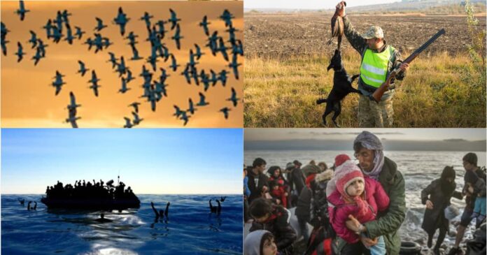 Afflusso Migranti Una storia in una foto: Storia di migranti