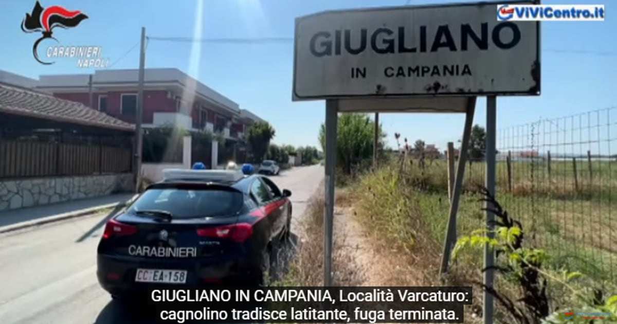Caccia al Latitante Cacciapuoti Terminata