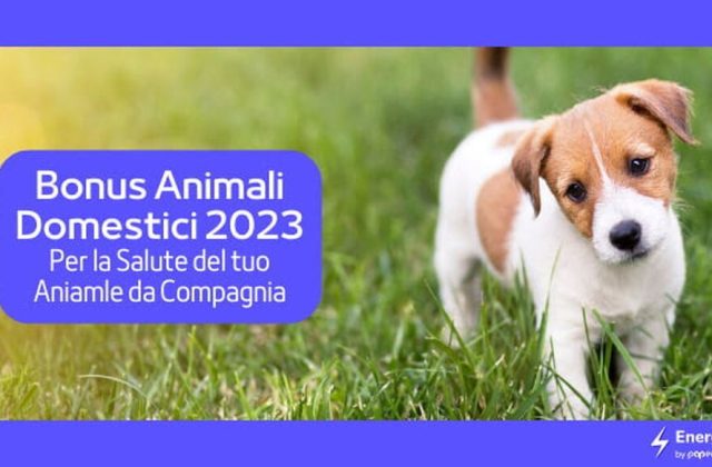 Bonus 2023 per la Salute del tuo Animale Domestico