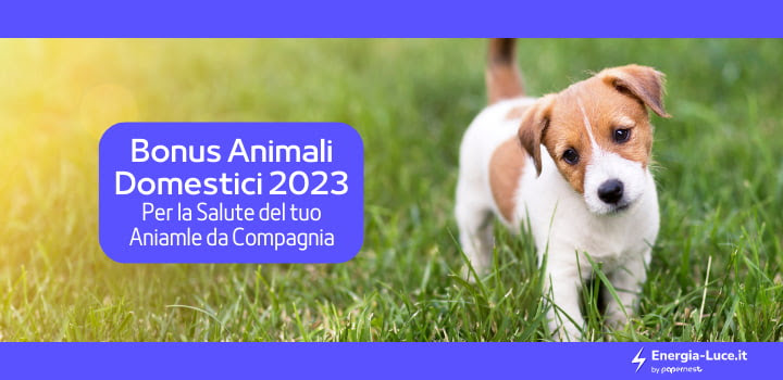 Bonus 2023 per la Salute del tuo Animale Domestico