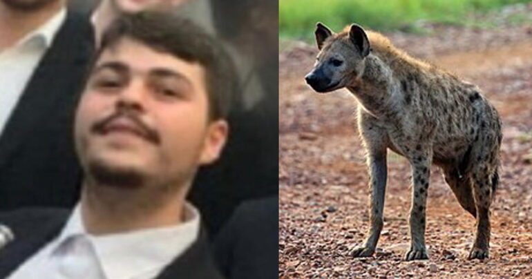 Il Killer Ridens: Inquietante Mistero di Napoli