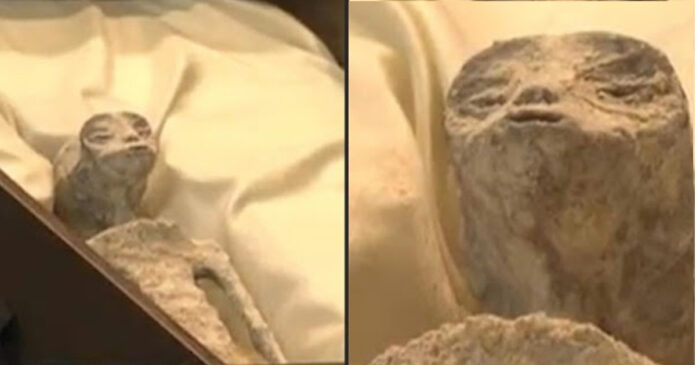 Mummie extraterrestri al Congresso messicano?
