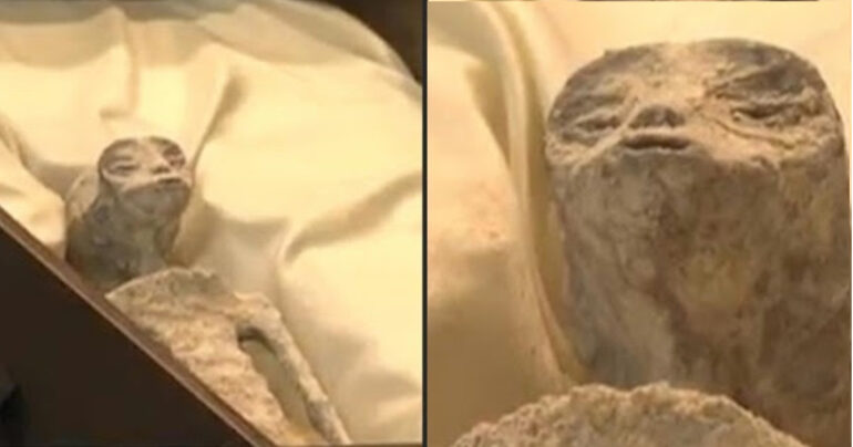2 Mummie Extraterrestri al Congresso Messicano? Svelati i Misteri!