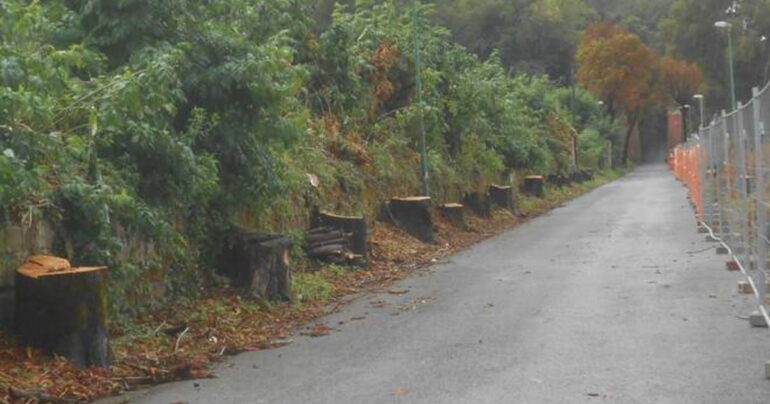 Strada Castellammare-Pimonte: Impatto Ambientale e Voci Contrarie