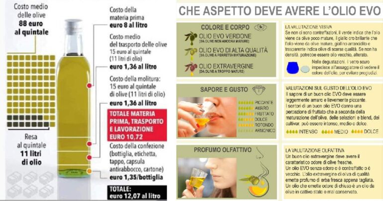 Allarme Olio Contraffatto: Come riconoscere il vero EVO