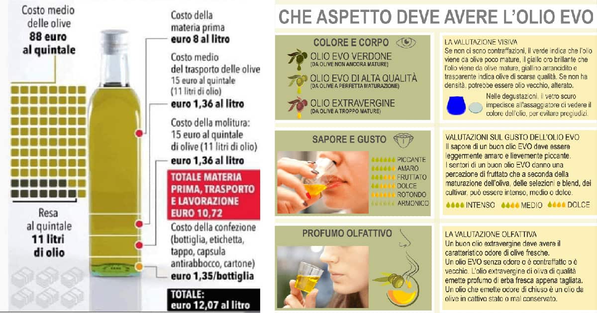 Allarme Olio Contraffatto: Riconoscere l'Olio Contraffatto dal vero EVO