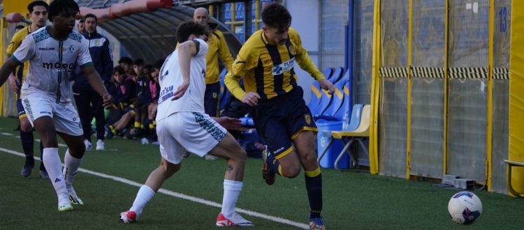 Juve Stabia, finisce 0-0 il derby della Primavera con l’Avellino