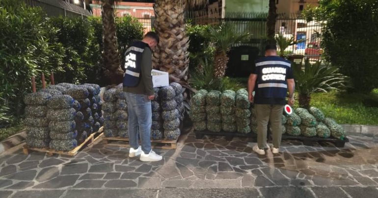 Castellammare di Stabia, smascherato traffico illegale di vongole
