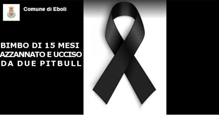 Una tragedia scuote Eboli: un bimbo di 15 mesi ucciso da 2 pitbull