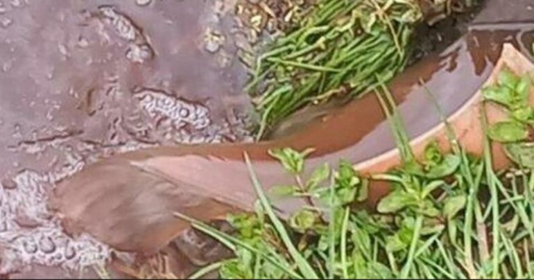 Campagna “Fiume Sicuro 2024”: Tutela Corsi d’Acqua Italiani