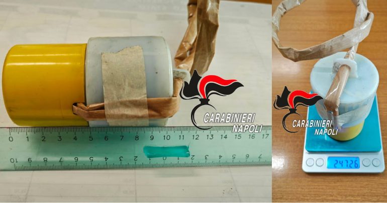 Castellammare di Stabia: Sequestri di Droga, Esplosivi e Fauna Protetta