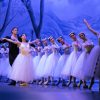 Giselle teatro sociale Brescia