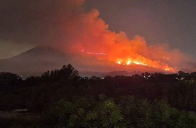 Il disastro ambientale del Parco Nazionale del Vesuvio: prevenzione, aspetti normativi e leggi di riferimento