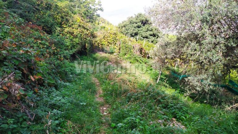 Nuova Strada Pimonte – Castellammare di Stabia: Il “no” degli abitanti della zona collinare stabiese