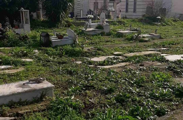 L’ultimo oltraggio: il “cimitero dei bambini” di Castellammare è una terra di nessuno