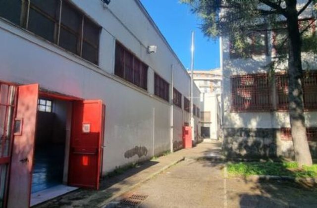 Il “Viviani” e l'”IC San Marco Bonito Cosenza” parlano inglese: ponte tra scuole nel segno dell’eccellenza