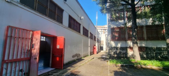 Il “Viviani” e l'”IC San Marco Bonito Cosenza” parlano inglese: ponte tra scuole nel segno dell’eccellenza