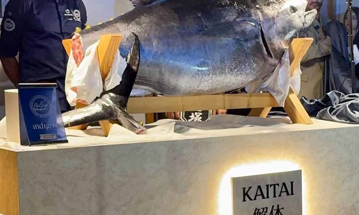 L’Antica Arte del Kaitai a Nola: Quando l’Alta Gastronomia Incontra la Tradizione Zen