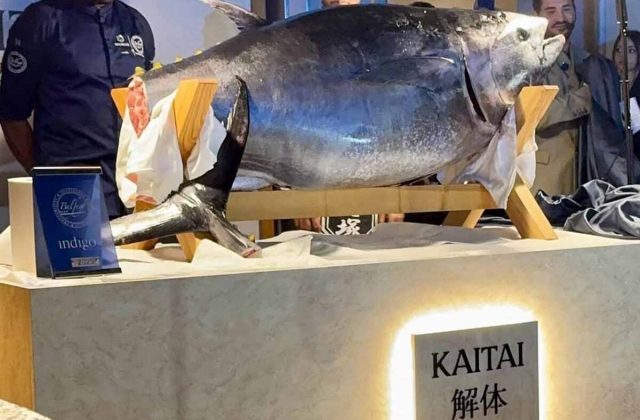 L’Antica Arte del Kaitai a Nola: Quando l’Alta Gastronomia Incontra la Tradizione Zen