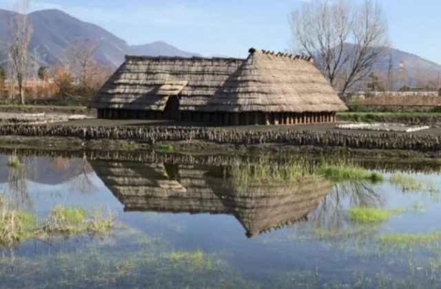 Incendi al Parco archeologico di Longola, Vicinanza: «Un attacco alla memoria del nostro territorio»